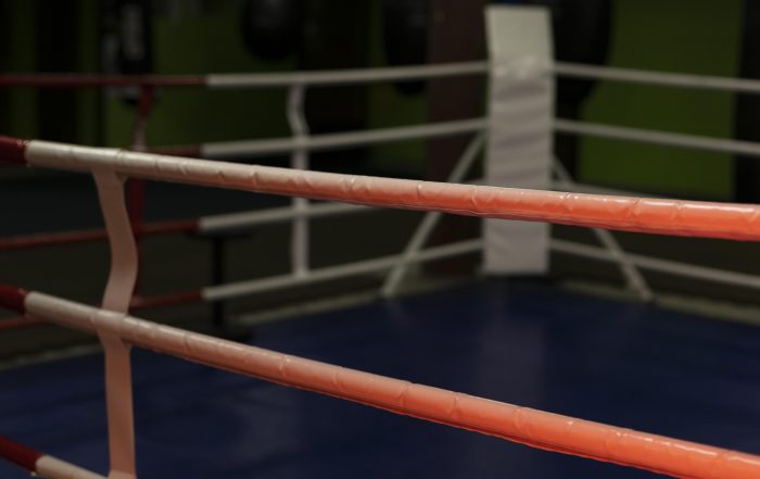 Sul ring con Muhammad Alì. Combattere la progressione